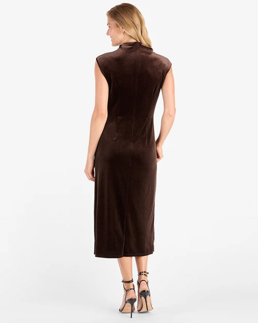 Jude Connally/ The Autumn Stretch Velvet Dress/ Espresso