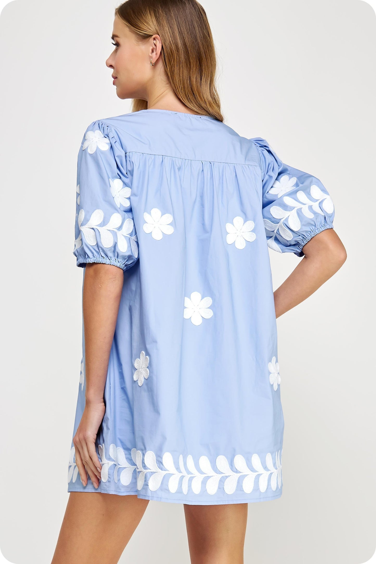 The Eva Lynn Embroidered Dress/ FINAL SALE