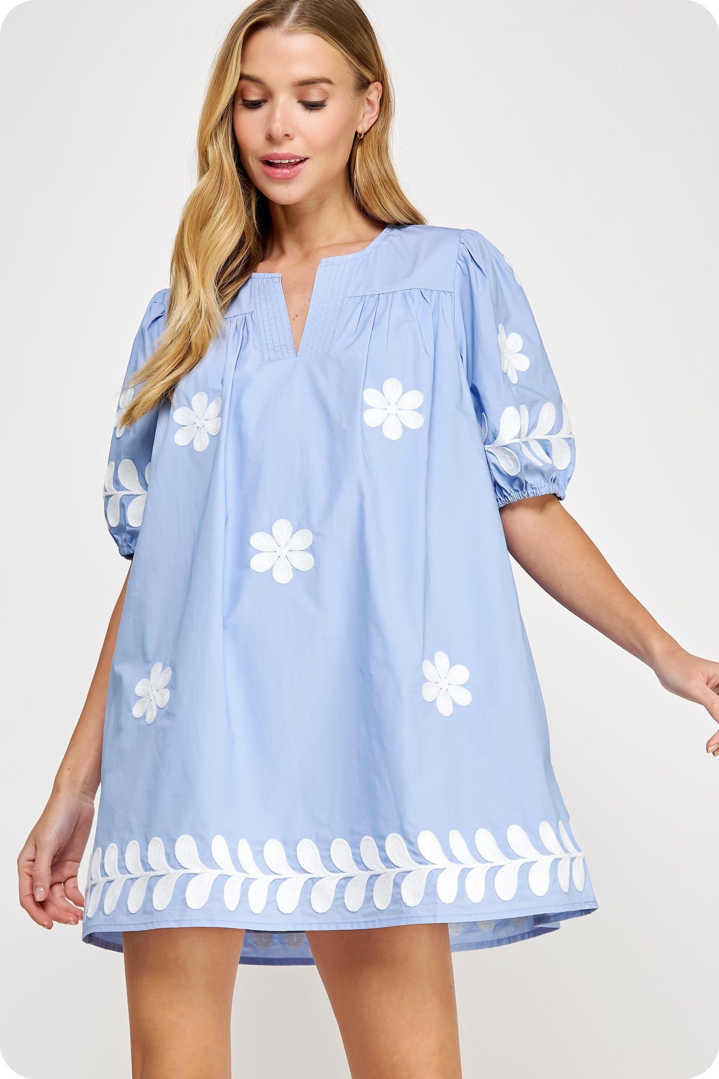 The Eva Lynn Embroidered Dress/ FINAL SALE