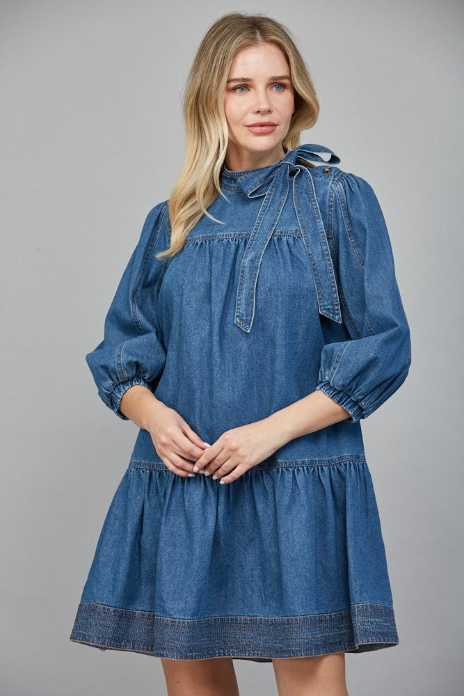 The Debby Denim Dress