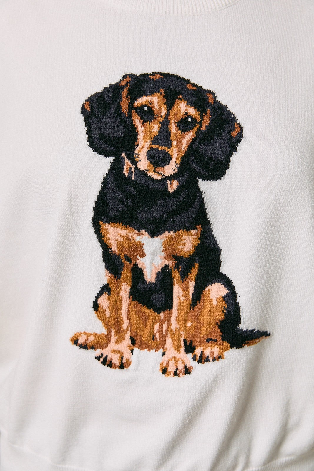 The Beagle Sweater
