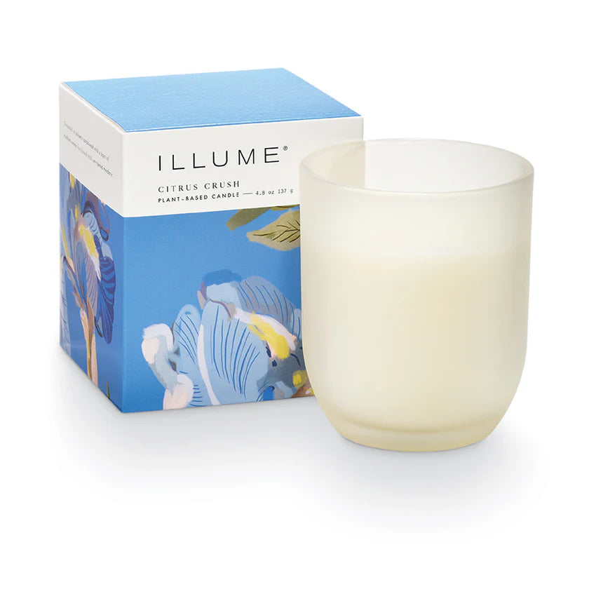 Illume/ Baby Boxed Candle/ Citrus Crush