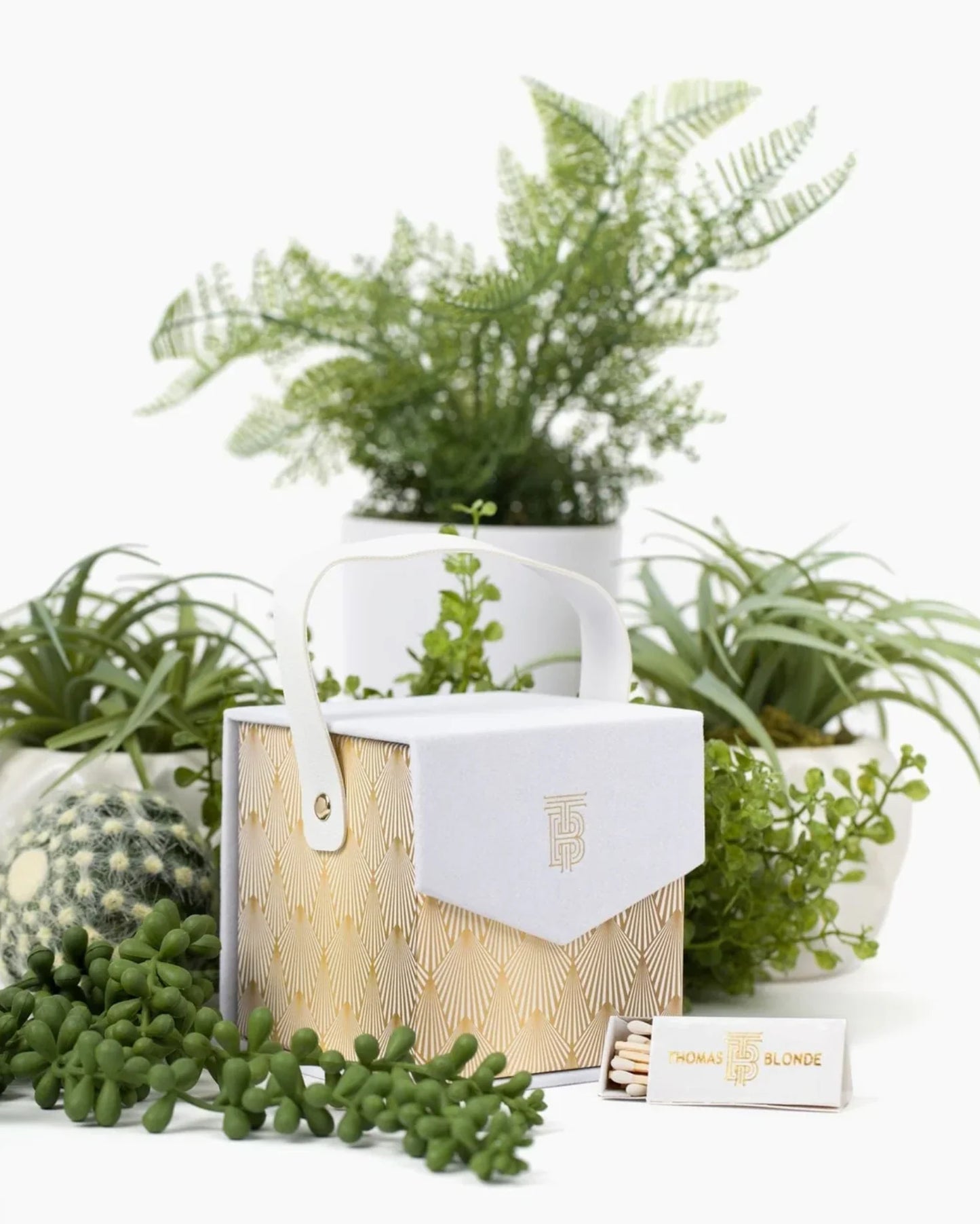TB/ Bougie Joshua Tree Gift Box + Candle Set