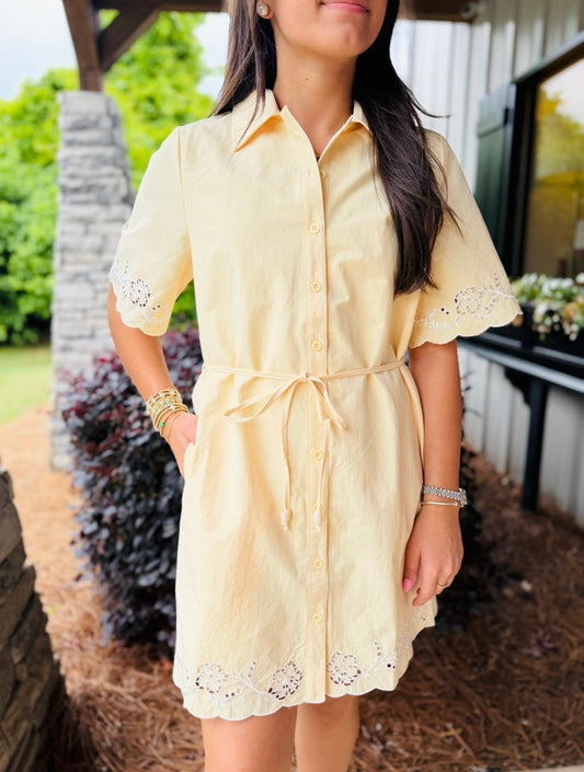 The Pollie Pintuck Dress