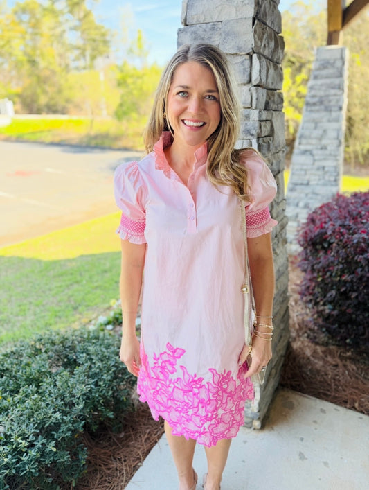 The Hansie Embroidered Mini Dress FINAL SALE