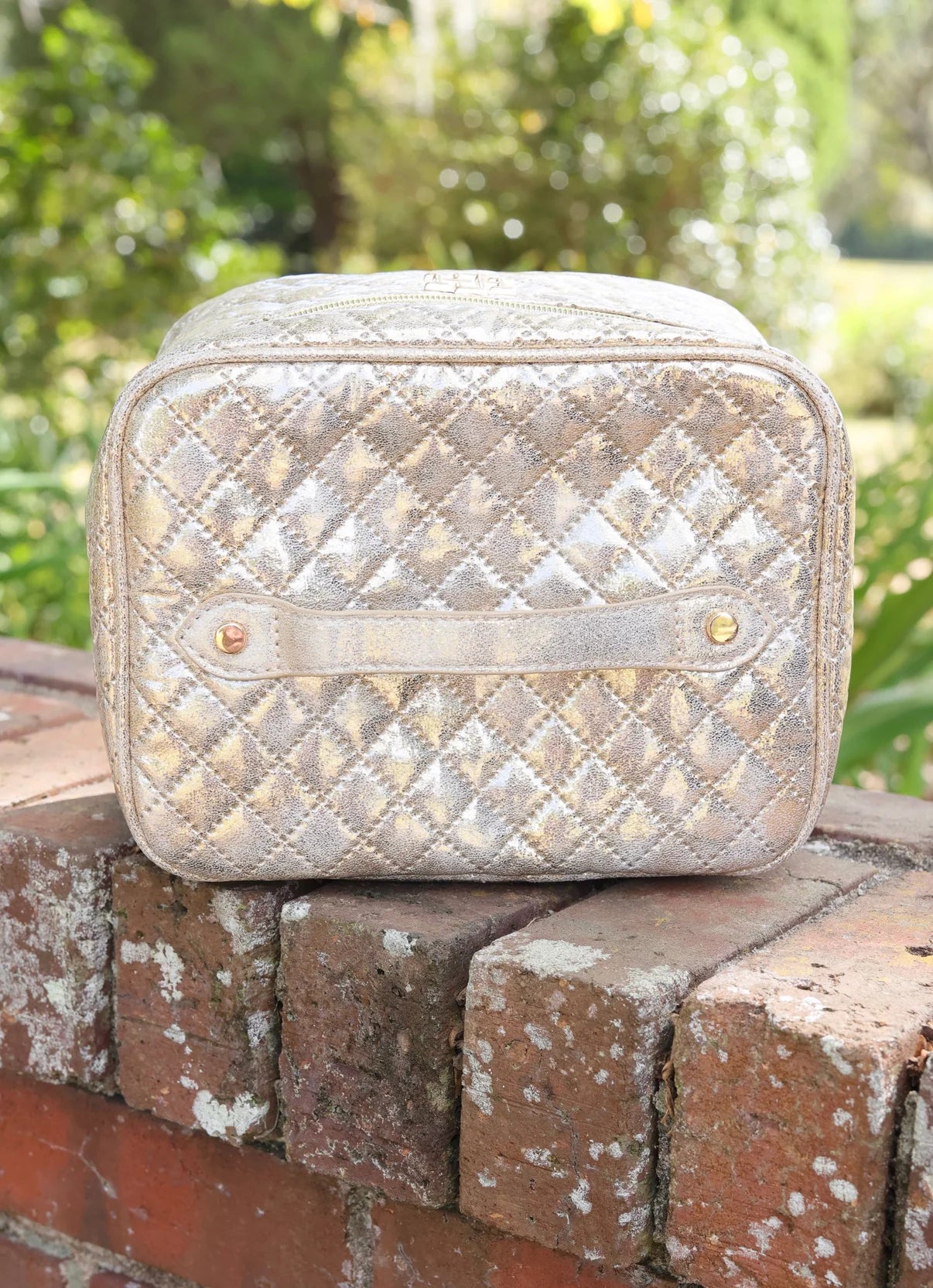 The Hampton Train Case/ Champagne Pop