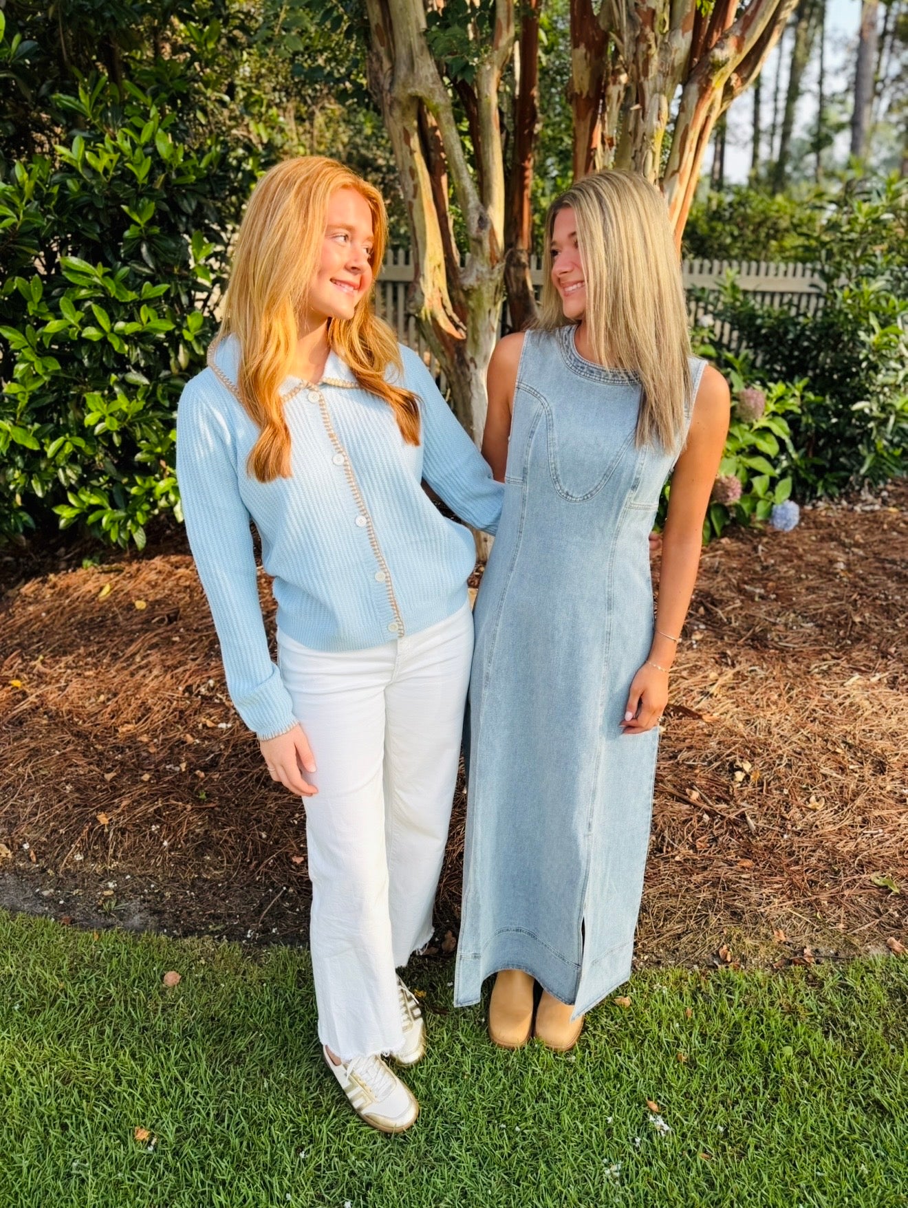 The Darla Denim Dress