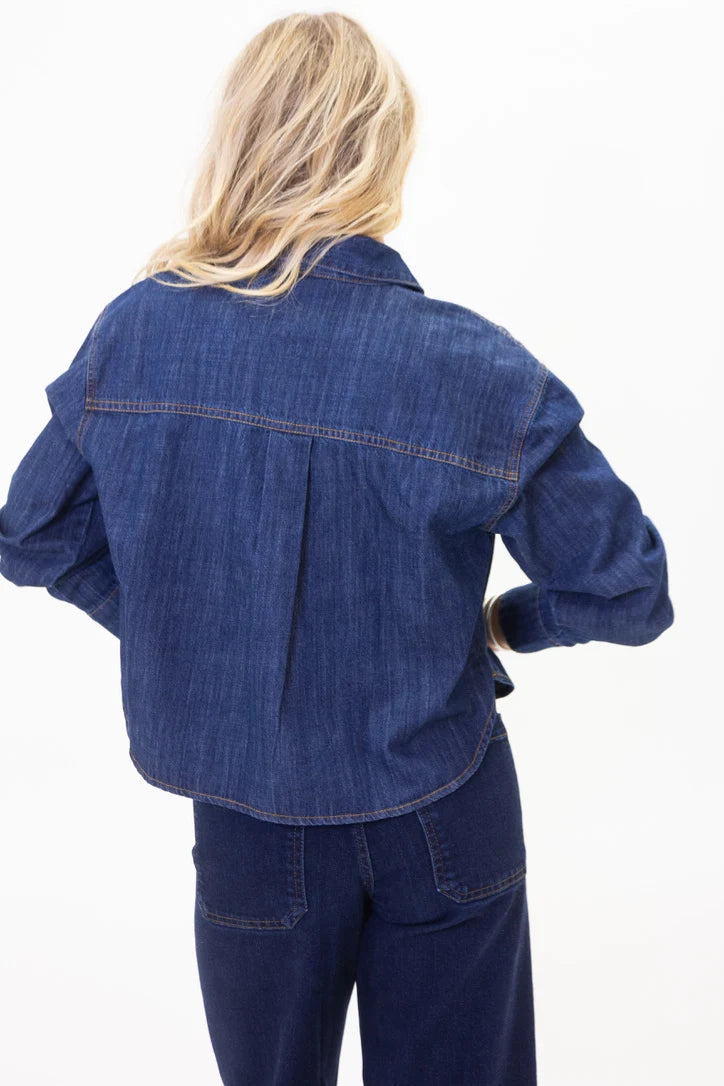 Karlie/ The Dazzle Denim Top