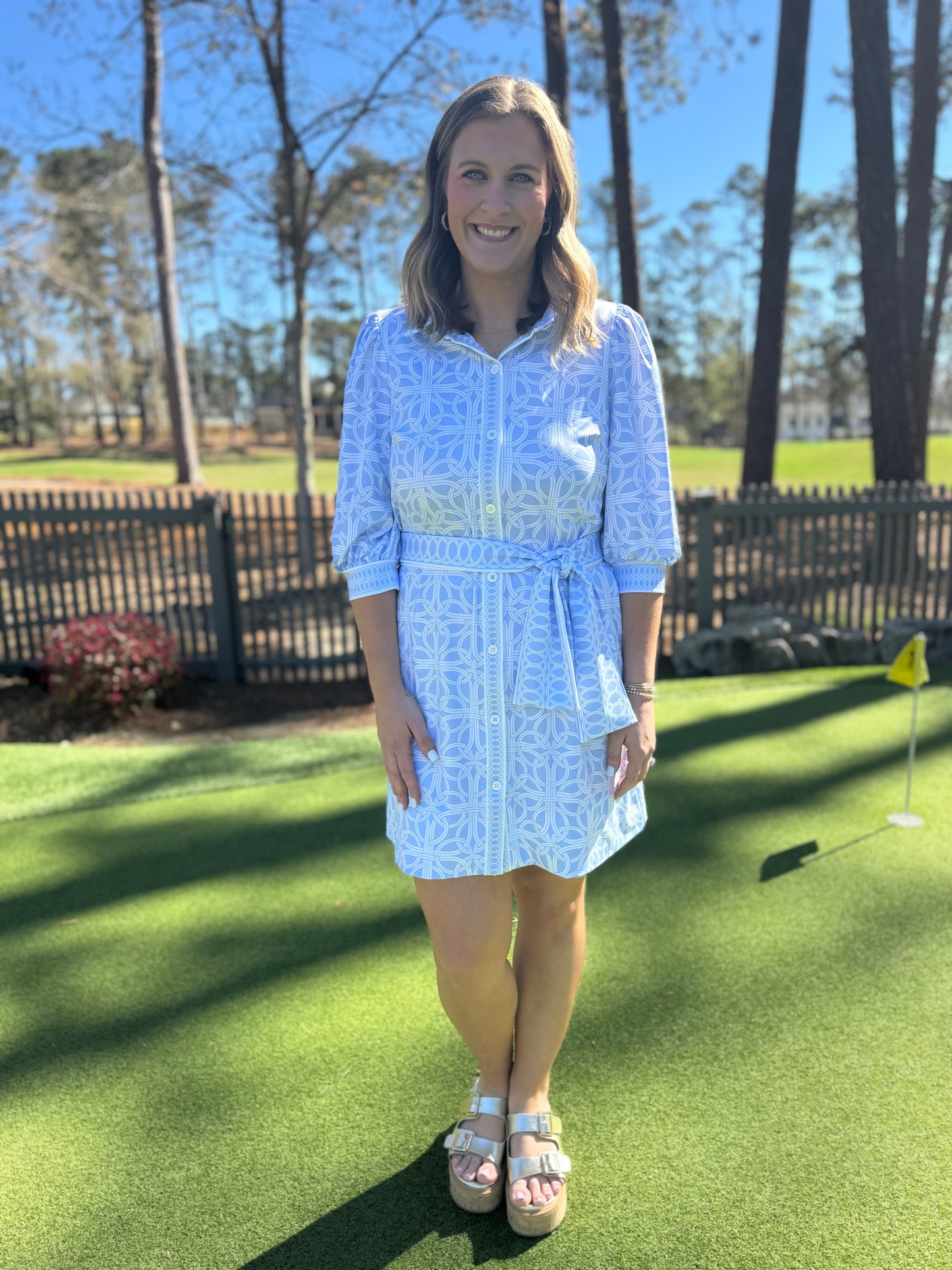 Gretchen Scott/ Swagger Dress