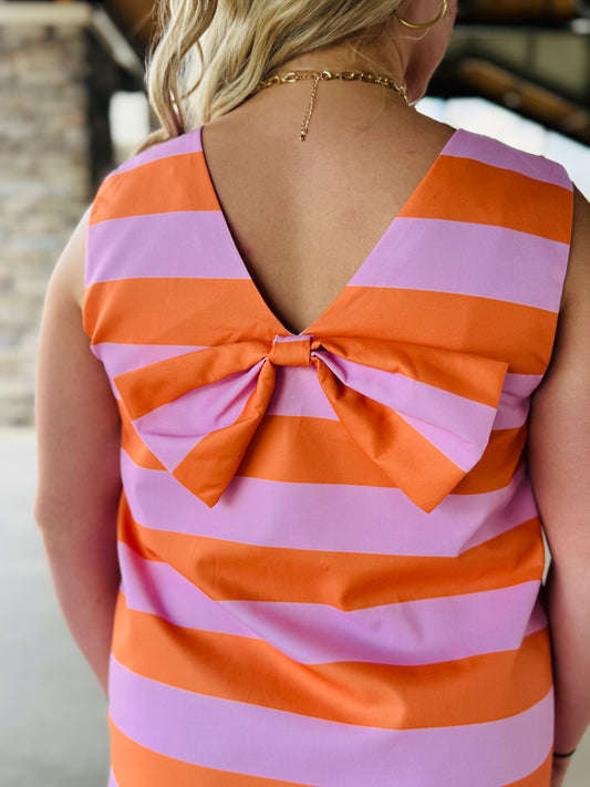 The Stripe Shift Dress/ FINAL SALE