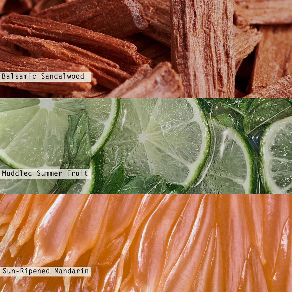 Illume/ Statement Glass/ Citrus Crush