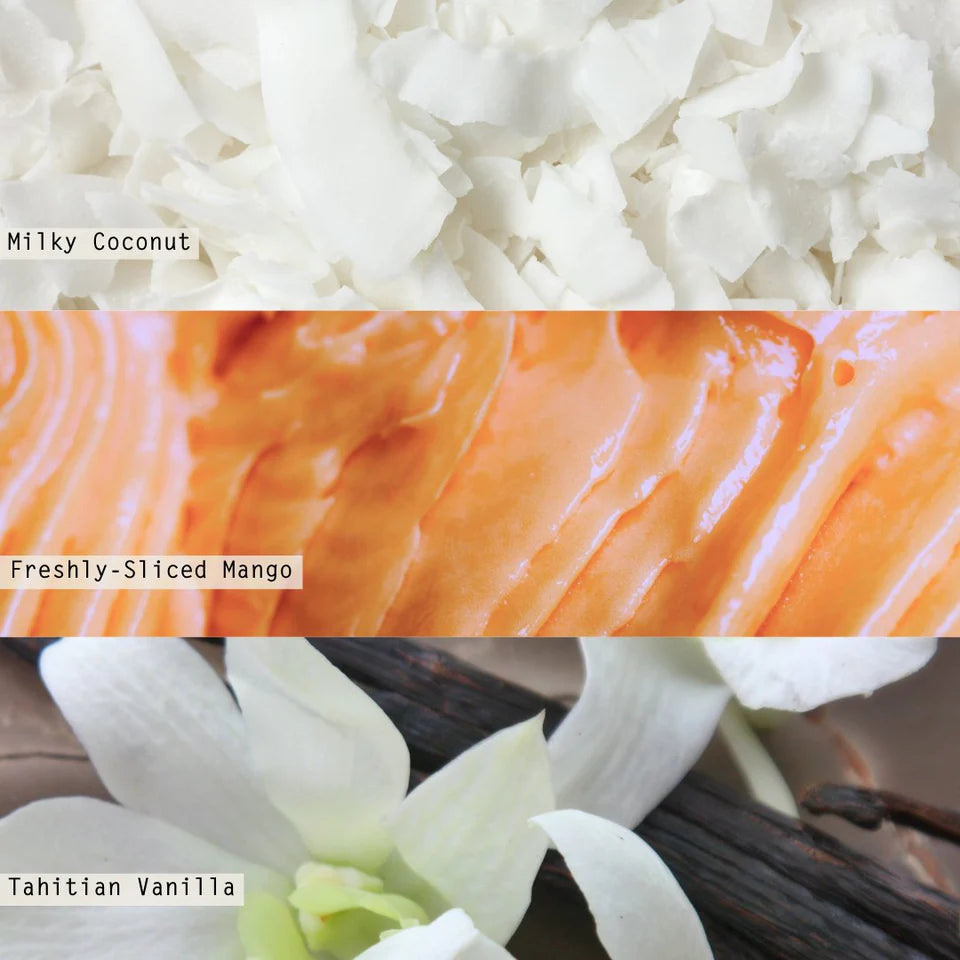 Illume/ Baby Boxed Candle/ Coconut Milk Mango