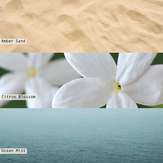 Illume/ Baby Boxed Candle/ Driftwood Beach