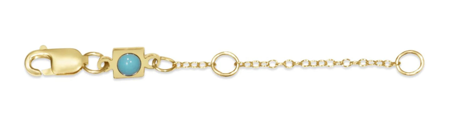 ENewton/ 2" Necklace Extender
