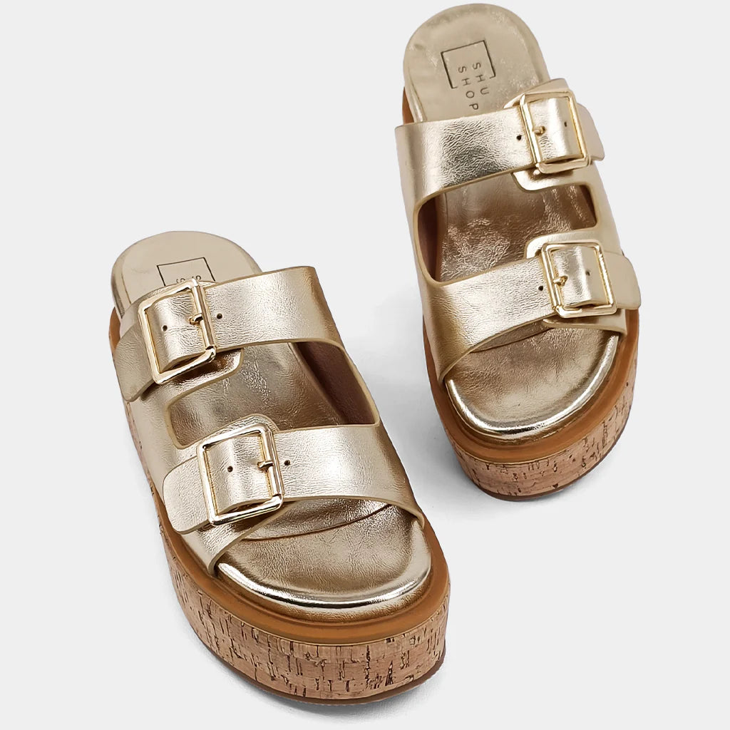 The Lucinda Platform