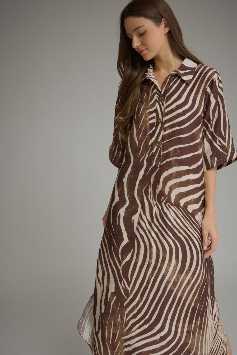 The Zina Zebra Dress