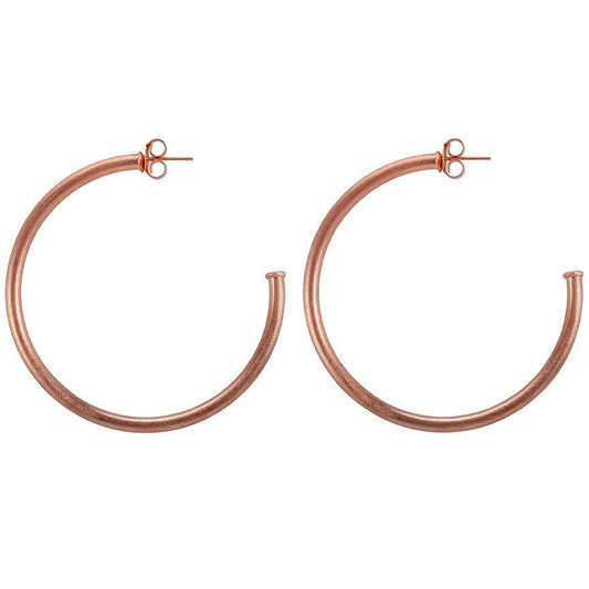 Sheila Fajl-Everybody's Favorite Hoop