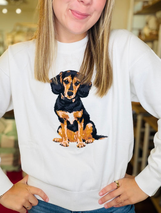 The Beagle Sweater