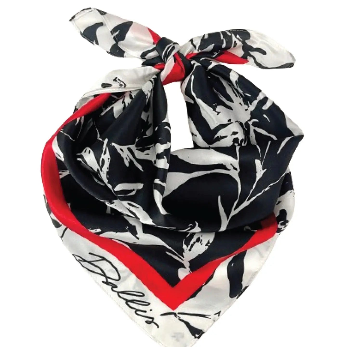 The Red + Black Gameday Scarf