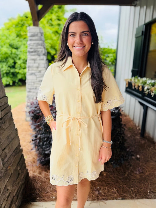 The Pollie Pintuck Dress