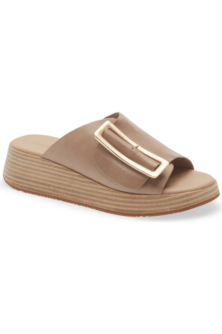Chocolat Blue/ Ela Platform