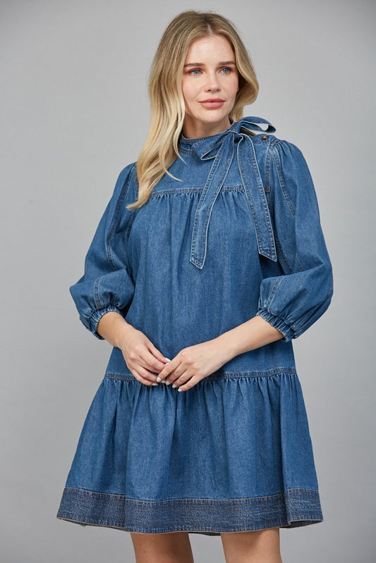 The Debby Denim Dress