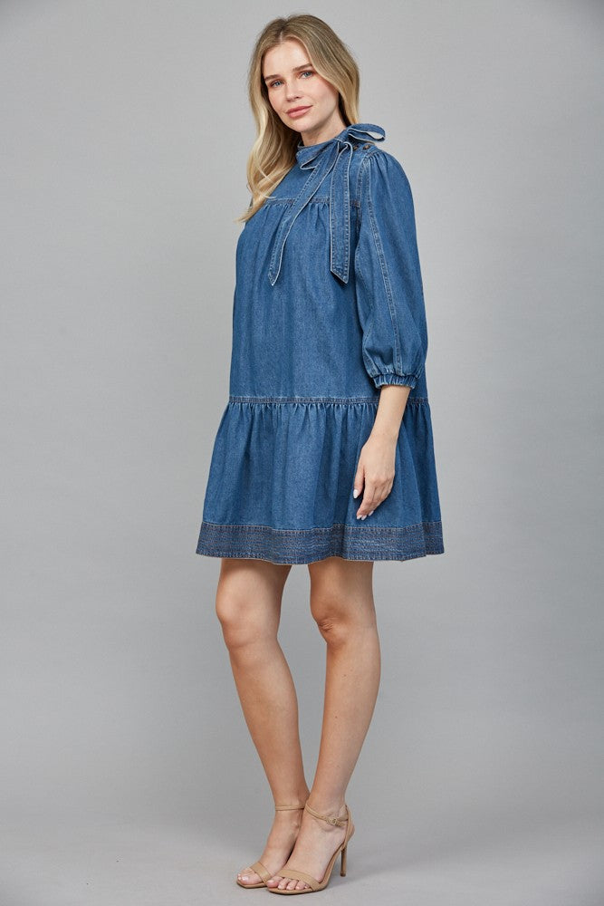 The Debby Denim Dress