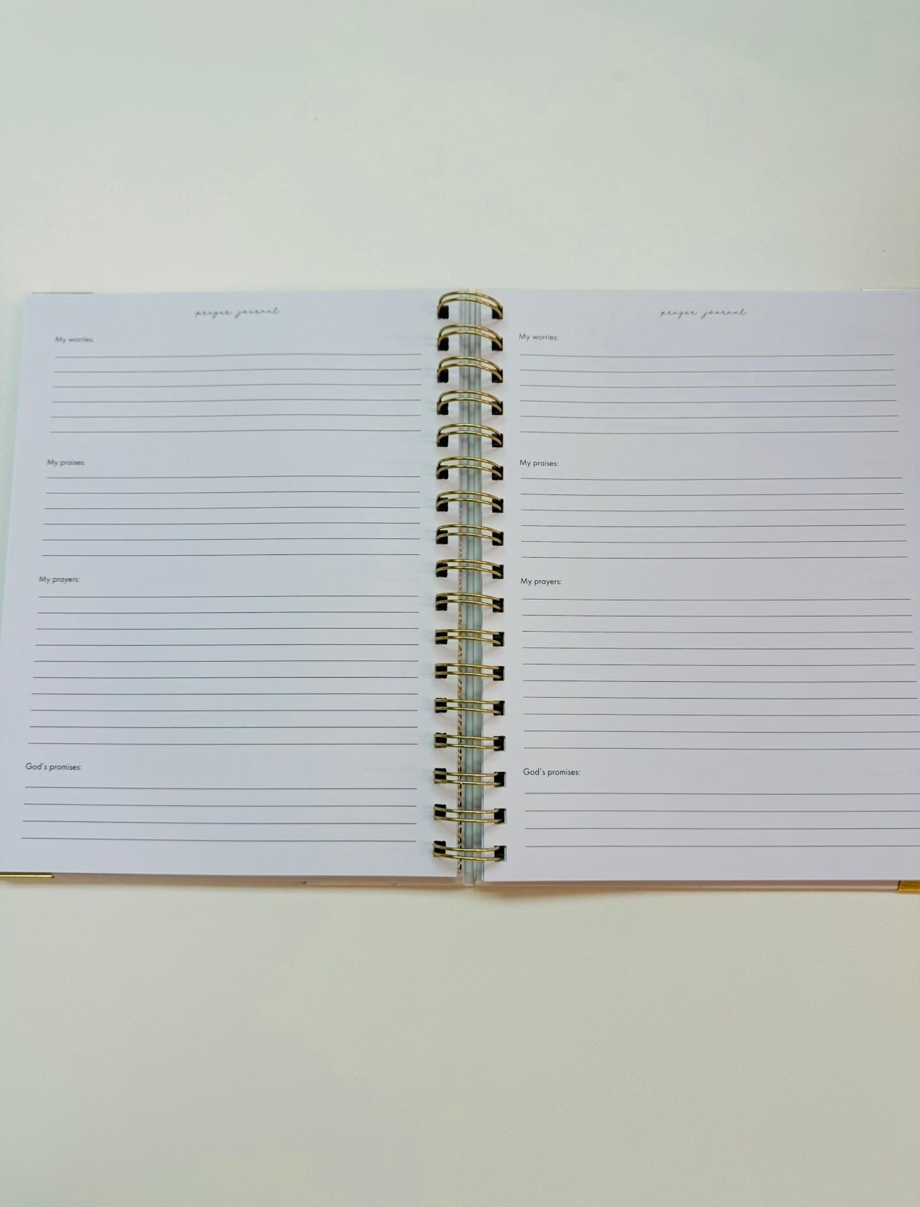 MS/ The Prayer Journal/ I Will Pray