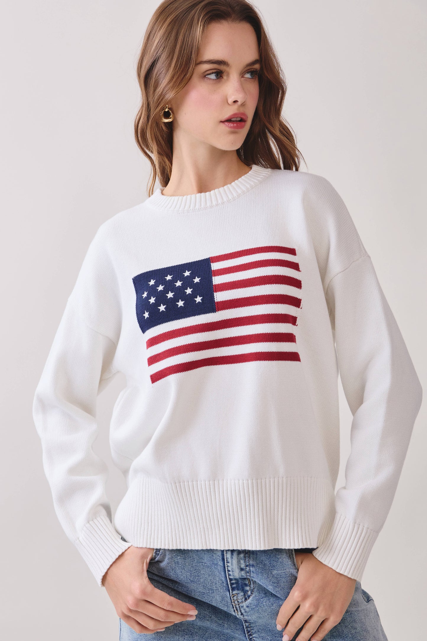 The American Flag Sweater / FINAL SALE