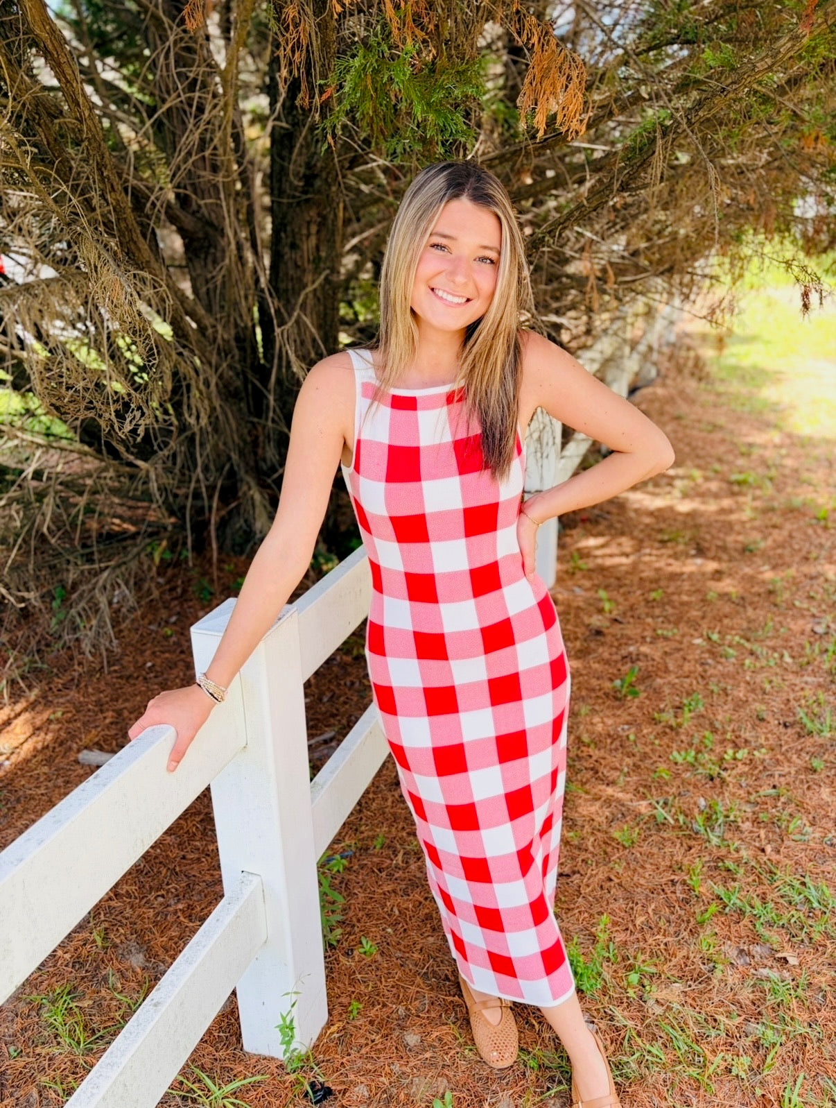 The Griffin Gingham Dress