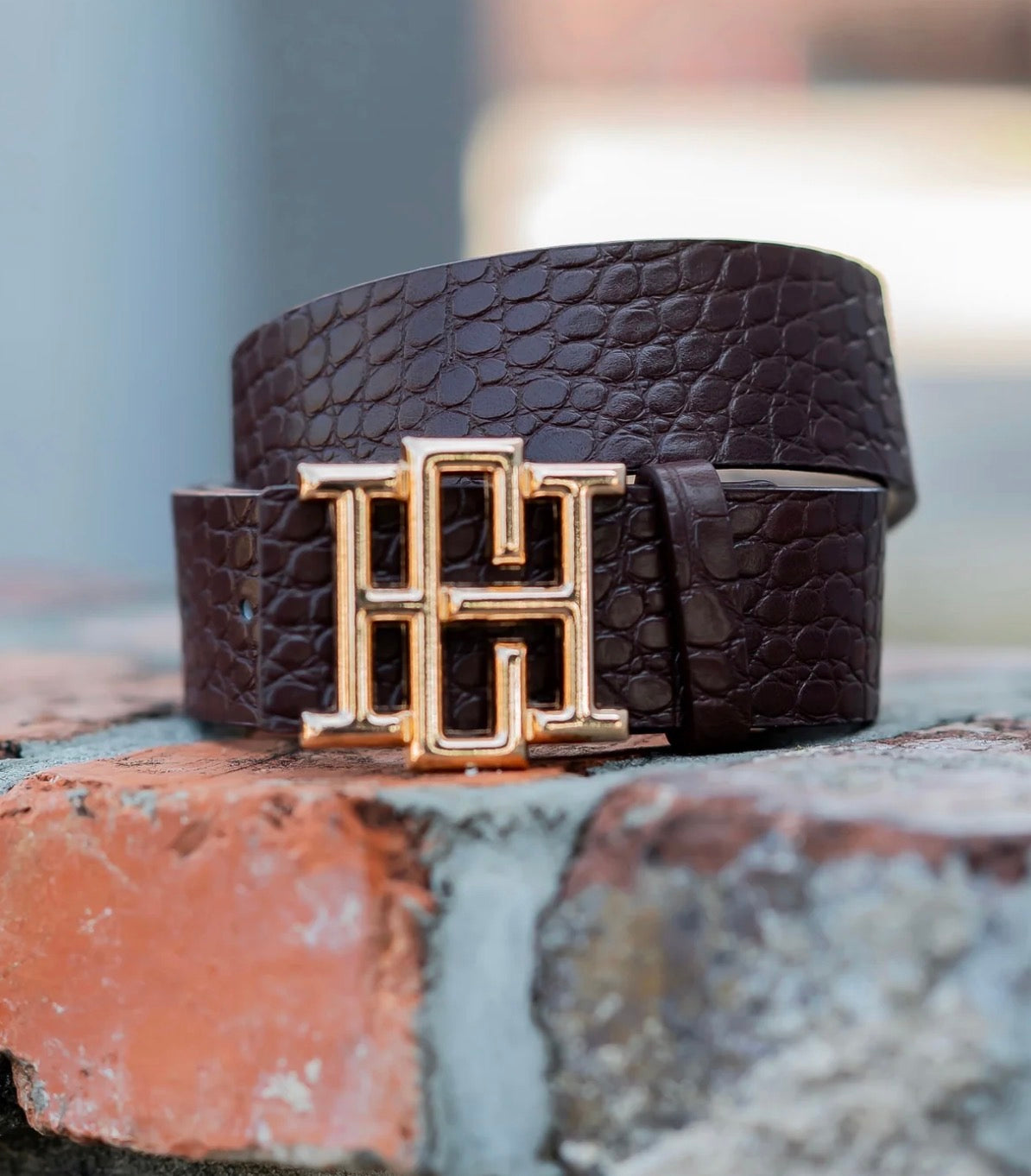 The Bridgette Belt/ Chocolate EC