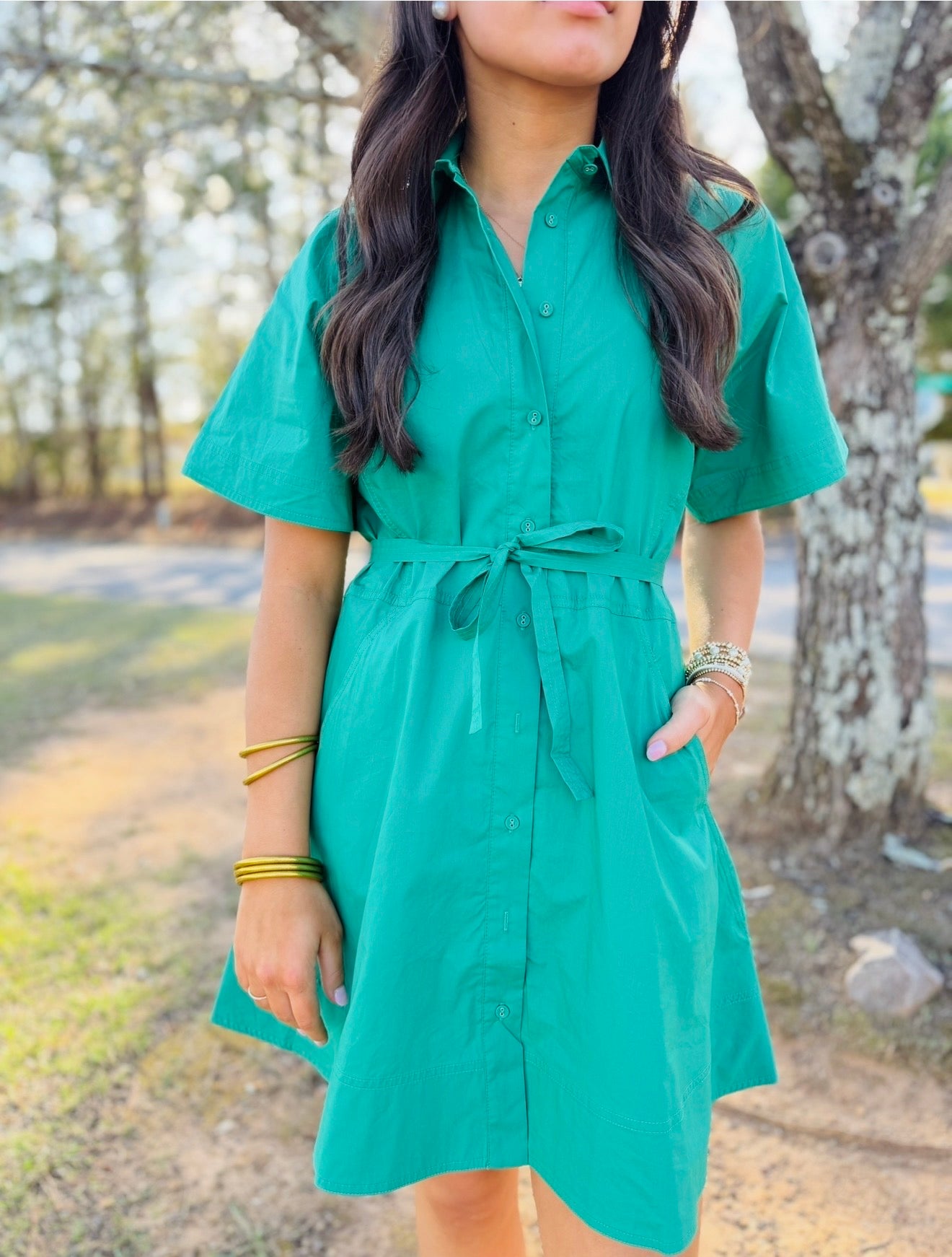 The Bristol Button Dress