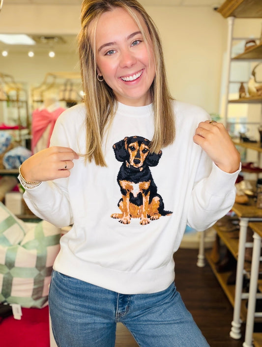 The Beagle Sweater