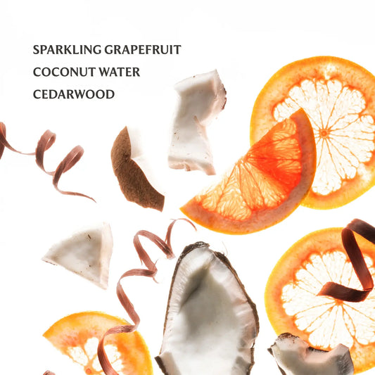 Touchland/ Hydrating Hand Sanitizer/ Beach Coco