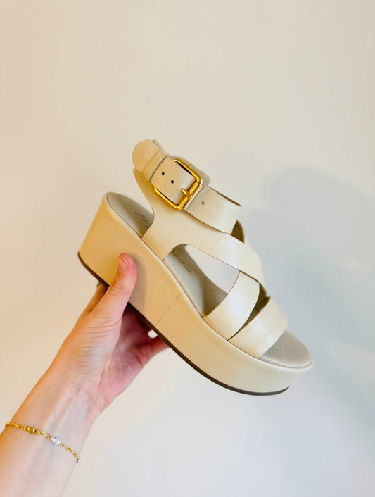 The Pascal Wrap Platform