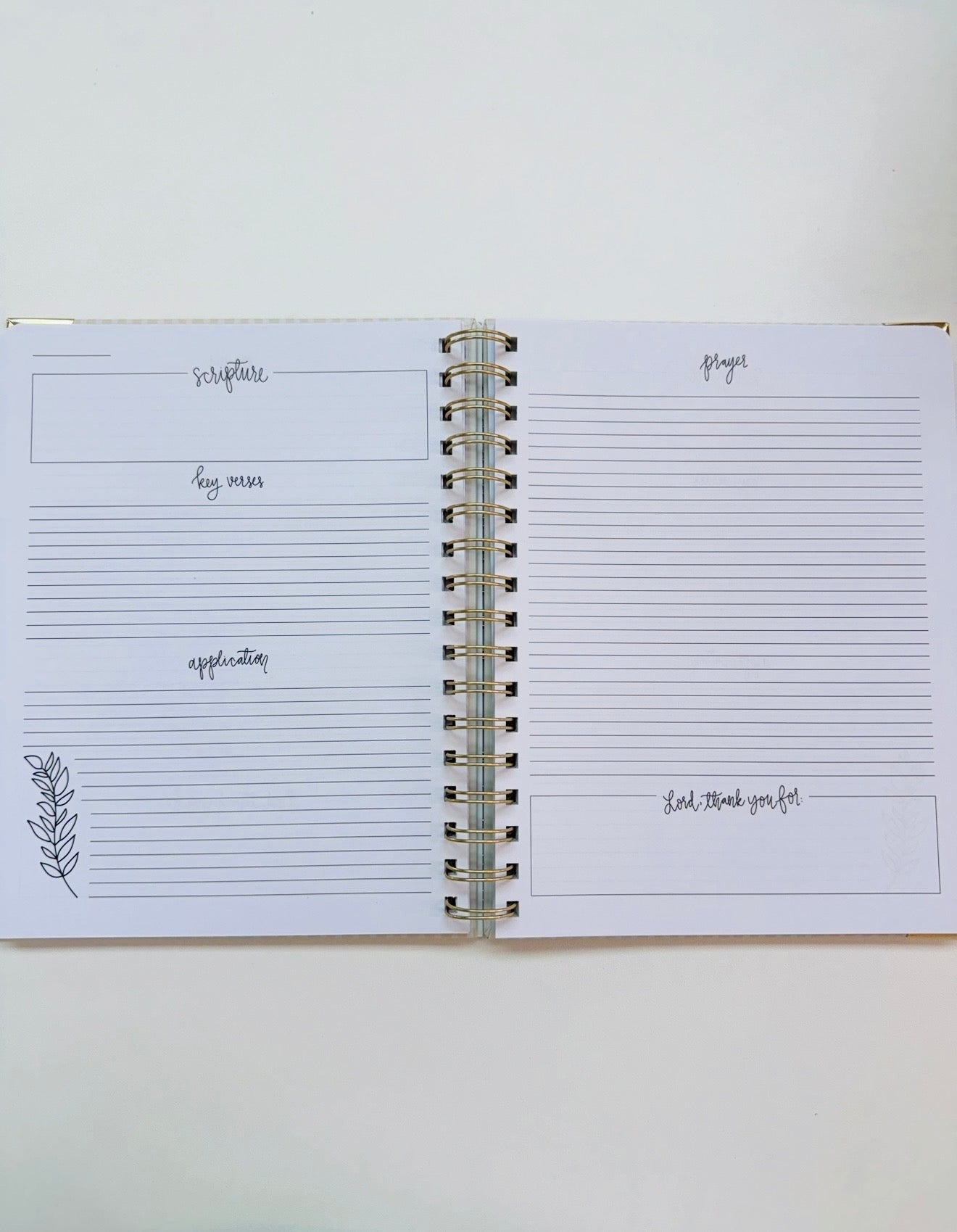 MS/ The Devotional Journal/ He Made Everything