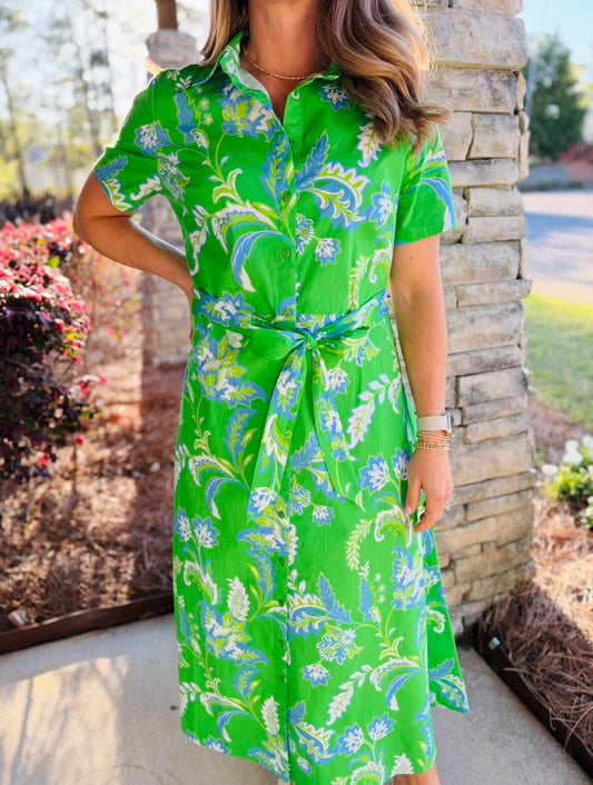Jude Connally/ The Glenda Stretch Poplin Dress/ Feathered Floral Grass