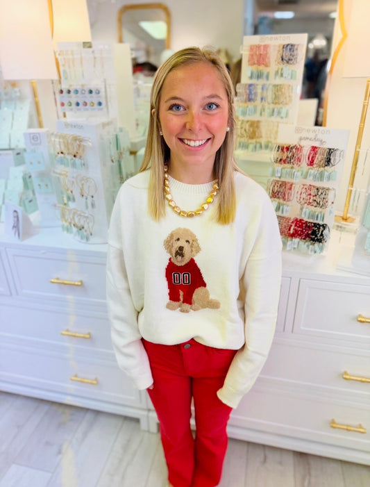 The Dog Game Day Sweater