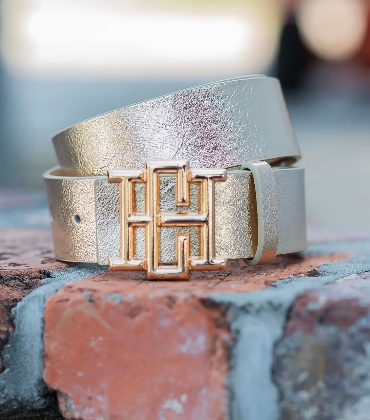 The Bridgette Belt/ Gold
