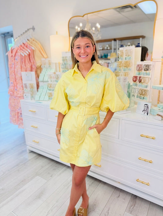 The Bara Belted Mini Dress