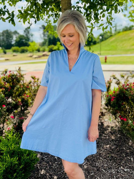 The Olivia Collar Dress/ FINAL SALE