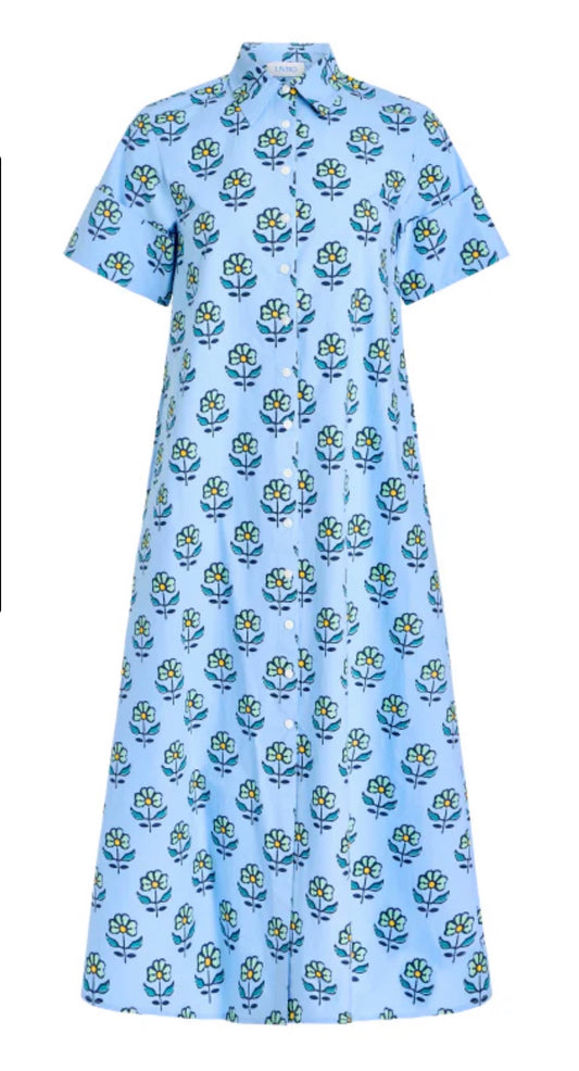 Livro/ The Gibbons Dress/ Orchid Sprigs