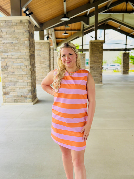 The Stripe Shift Dress/ FINAL SALE