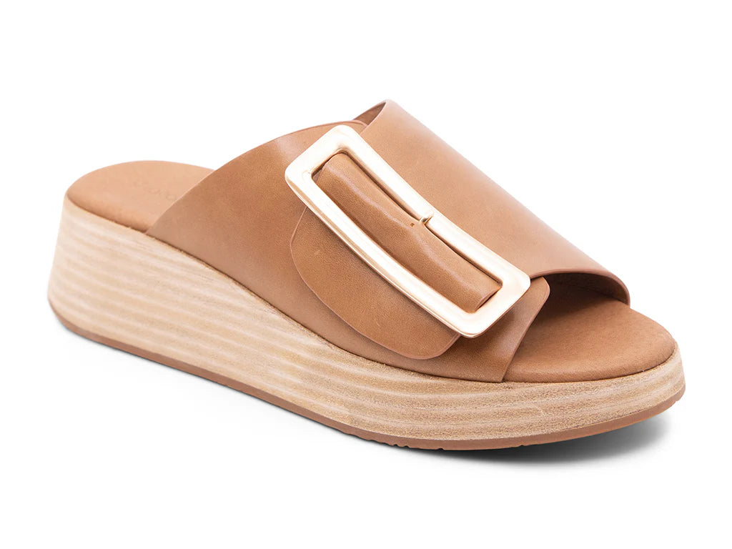 Chocolat Blue/ Ela Platform