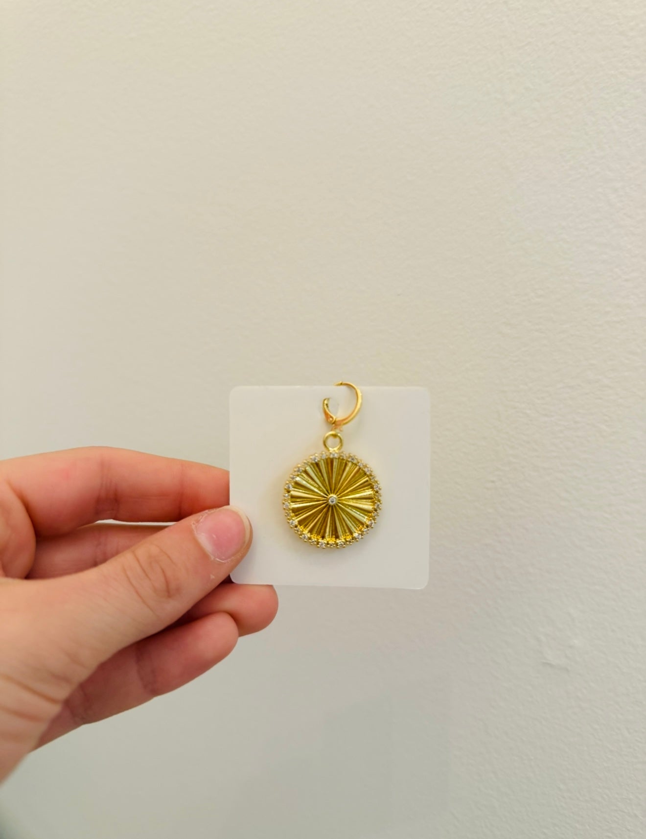The CZ Coin Charm