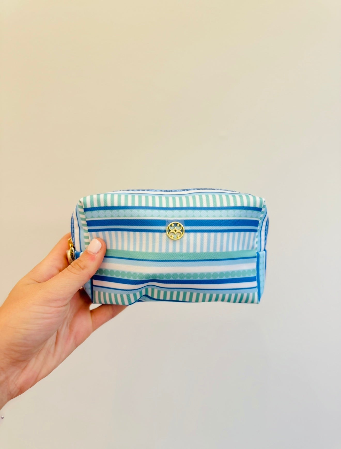 The Let's Face It Bag Mini/ Simply Striped