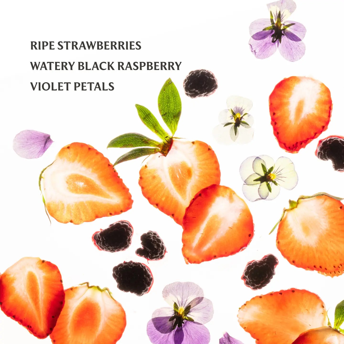 Touchland/ Hydrating Hand Sanitizer/ Berry Bliss