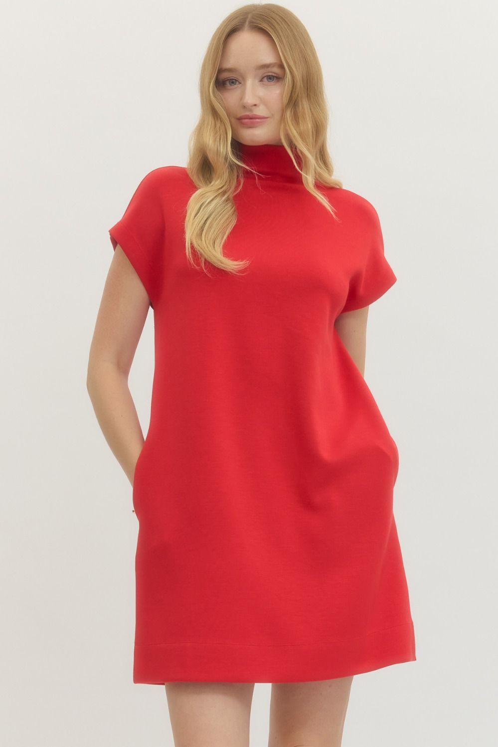The Precious Pullover Dress