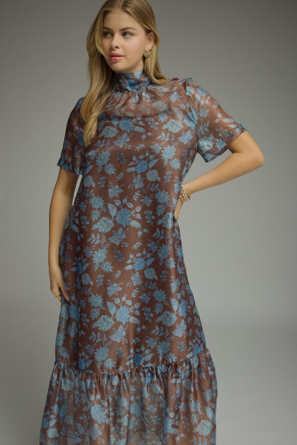 The Stanla Sheer Dress
