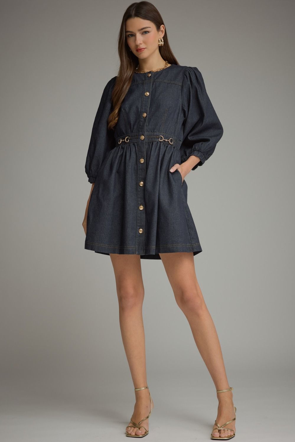 The Dianne Denim Dress